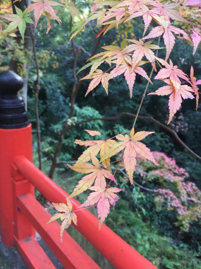 Kyo-Anthu Inn Kyoto Luaran gambar